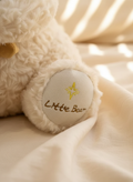 Teddy Bear Plush Toy with Rose Bouquet - Soft Stuffed Bear Gift front view