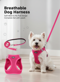 No Pull Dog Harness and Leash Set - Breathable Soft Mesh for Dogs front view